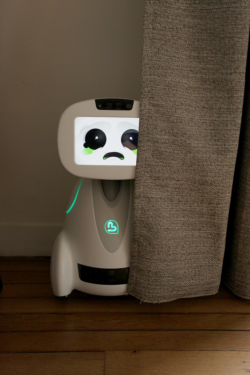 Купить бади. Робот Бадди (buddy). Домашний робот. Маленький домашний робот. Маленький робот помощник.