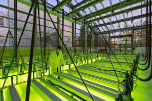 Algentechnikum der TU Muenche am Ludwig Bölkow-Campus in Ottobrunn: Prof. Thomas Brueck; Fachgebiet Industrielle Biokatalyse; Dipl ing Andreas Apel in der Halle Foto: Andreas Heddergott / Verwendung frei fuer die Berichterstattung ueber die TU Muenchen unter Nennung des Copyrights