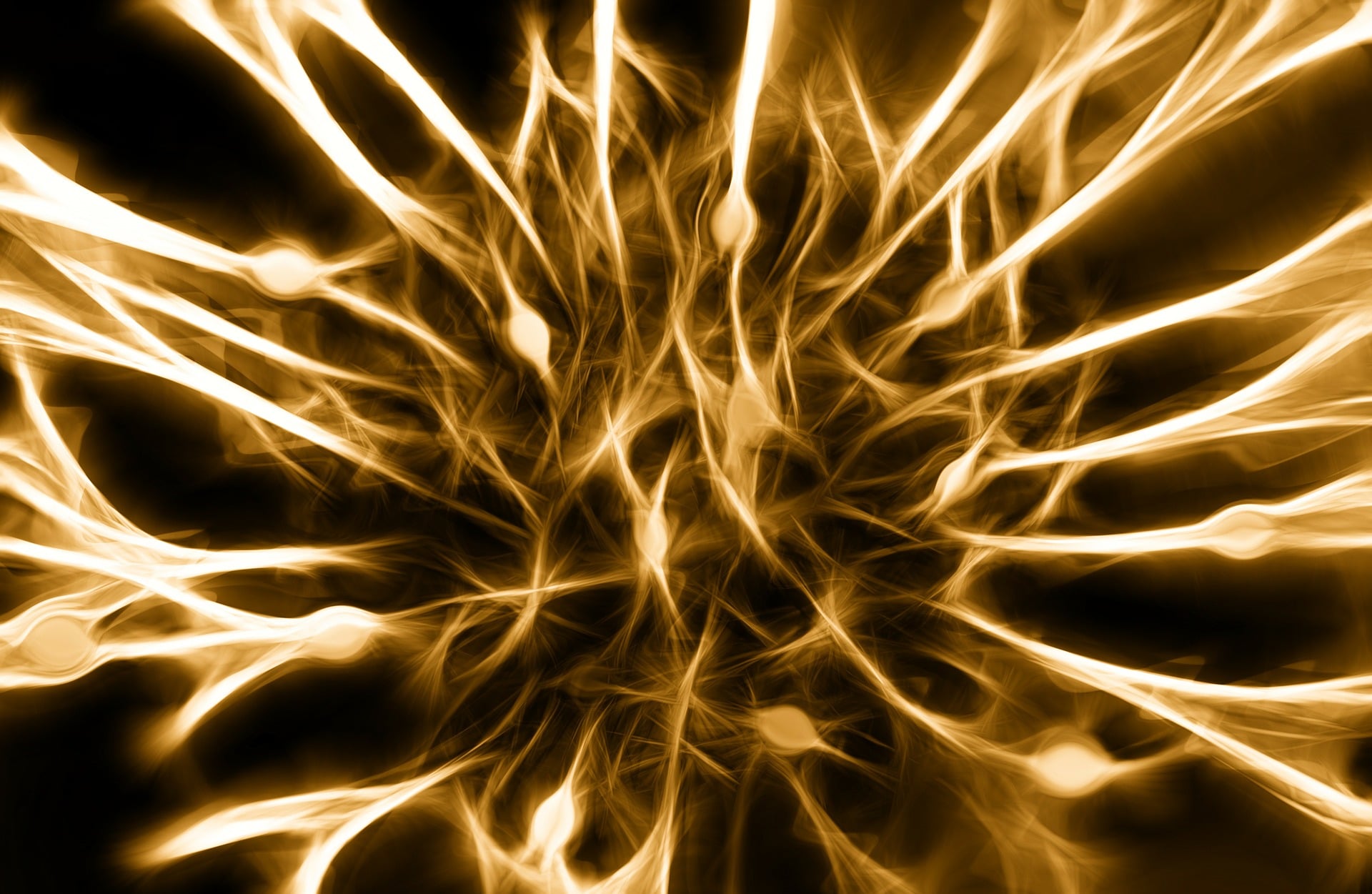 Nerven-Regeneration durch Optogenetik