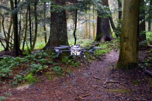 Drohnen suchen selbständig auf Waldwegen nach Vermissten. (Bild: UZH; USI; SUPSI)